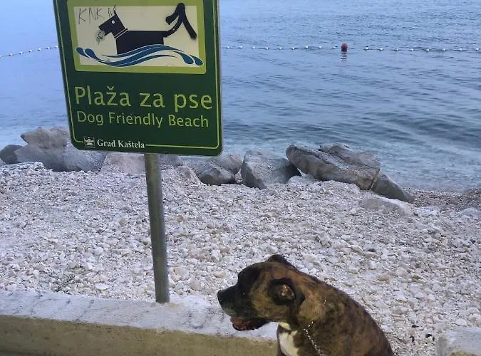 Spacious Apartment With Garden Close To The Sea In Kastel Luksic Split Апартаменты *